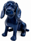 Unicolor Dachshund | Unicolour