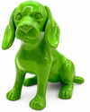 Unicolor Dachshund | Unicolour