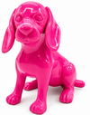 Unicolor Dachshund | Unicolour
