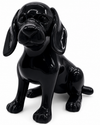 Unicolor Dachshund | Unicolour