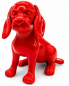 Unicolor Dachshund | Unicolour
