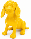Unicolor Dachshund | Unicolour