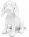 Unicolor Dachshund | Unicolour