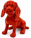 Unicolor Dachshund | Unicolour