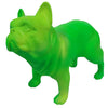French Bulldog | Neon