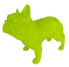 French Bulldog | Neon
