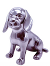 Dachshund | Chrome