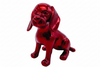Dachshund | Chrome